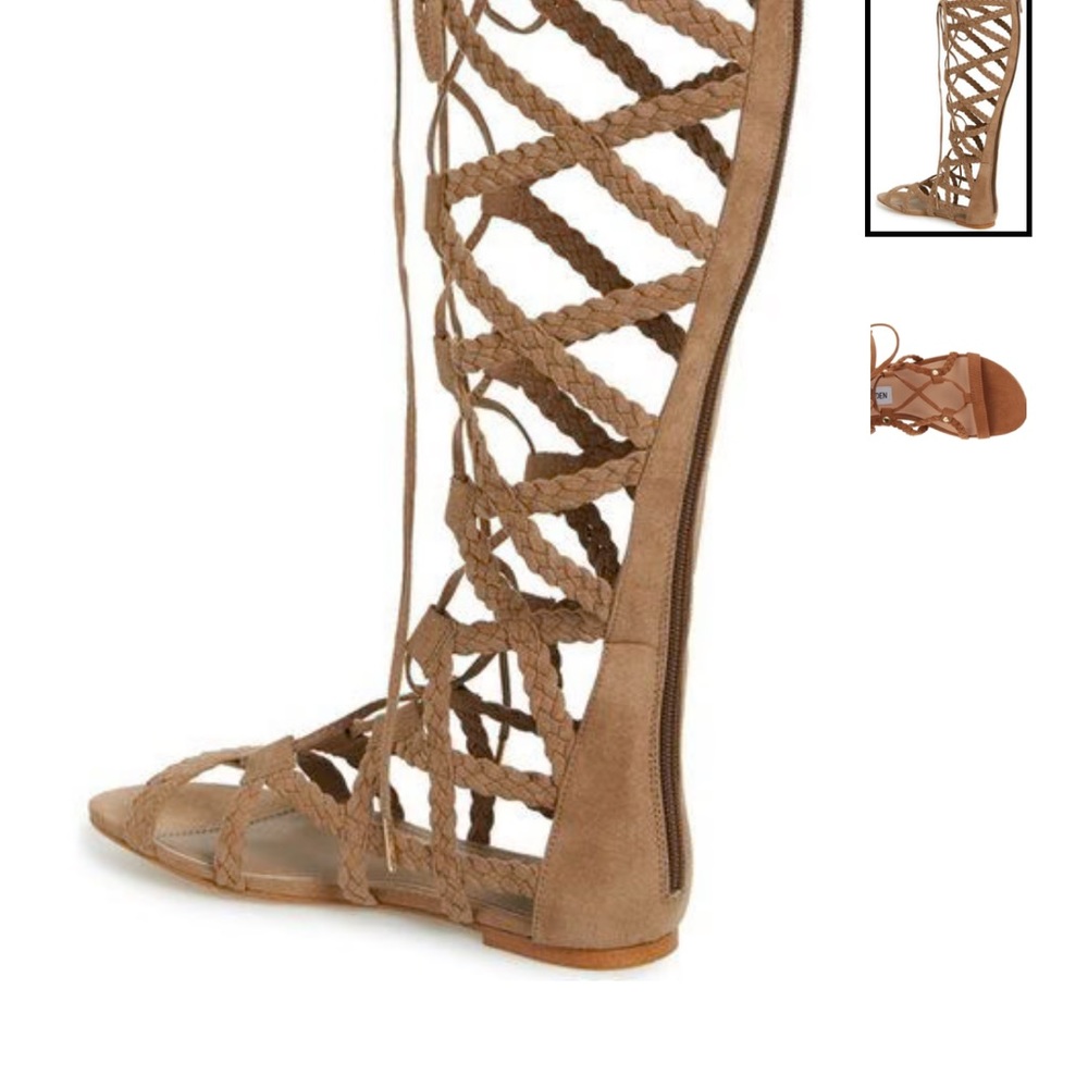 Steve Madden Sammson knee high gladiator sandal